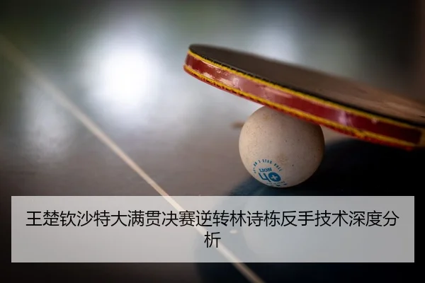 wang-chu-qin-sha-te-da-man-guan-jue-sai-ni-zhuan-lin-shi-dong-fan-shou-ji-shu-shen-du-fen-xi-2-251.jpg