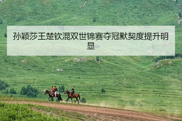 孙颖莎王楚钦混双世锦赛夺冠默契度提升明显